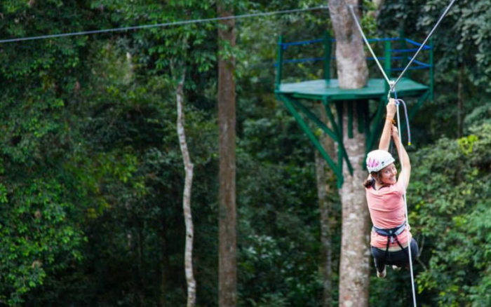 top-things-to-do-in-mabira-forest-zip-lining